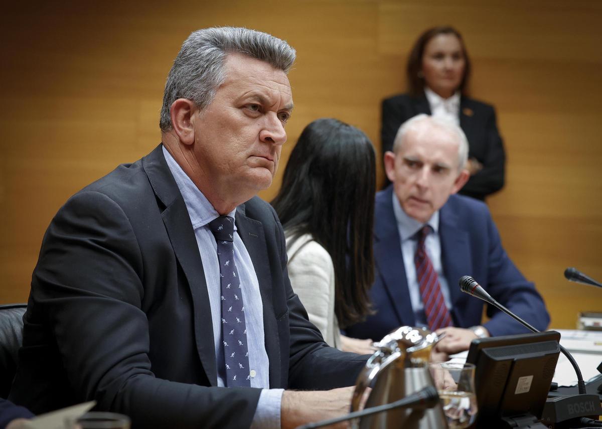El vicepresidente tercero y conseller de Medio Ambiente, Vicent Martínez Mus, comparece ante las Corts, este martes.