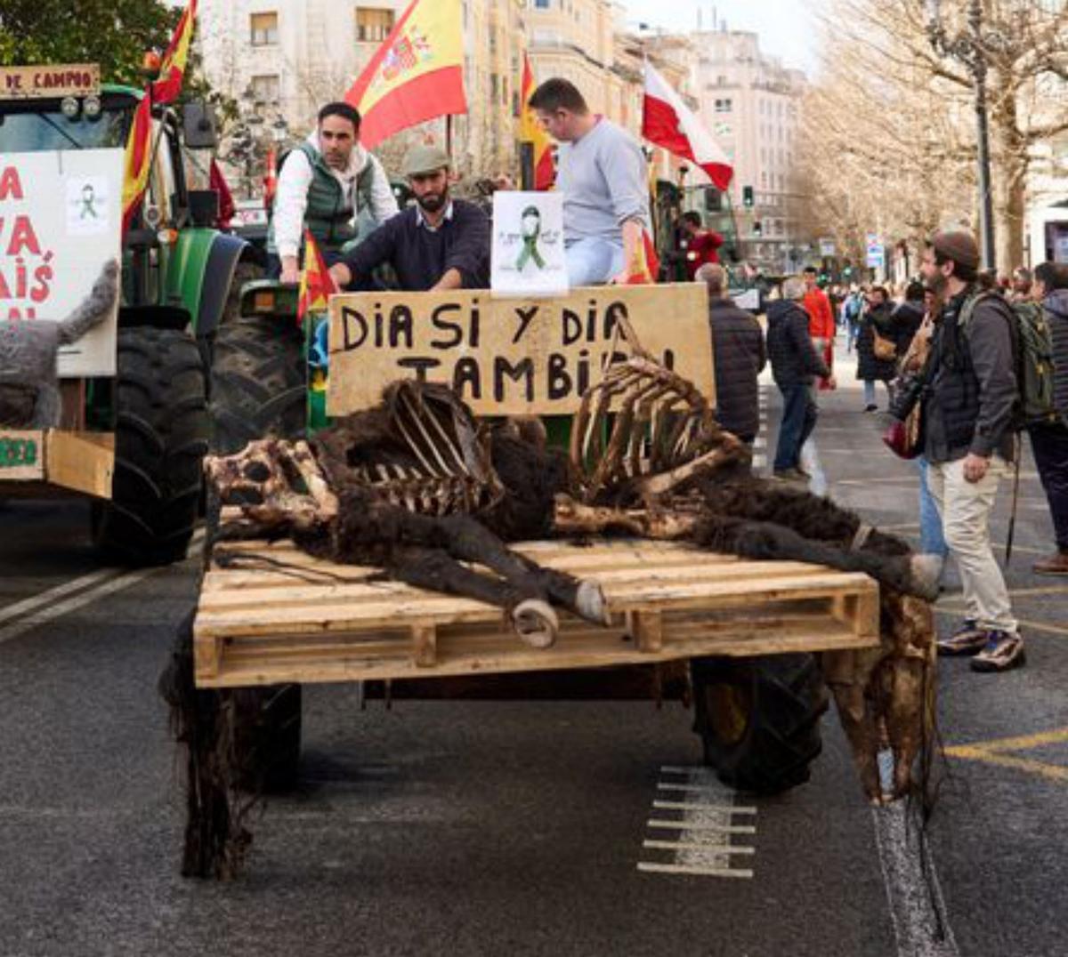 Les protestes apunten a Madrid en la tercera setmana de revolta