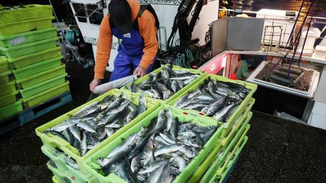Un marinero prepara la descarga del pescado capturado por su barco en el puerto de Vigo.