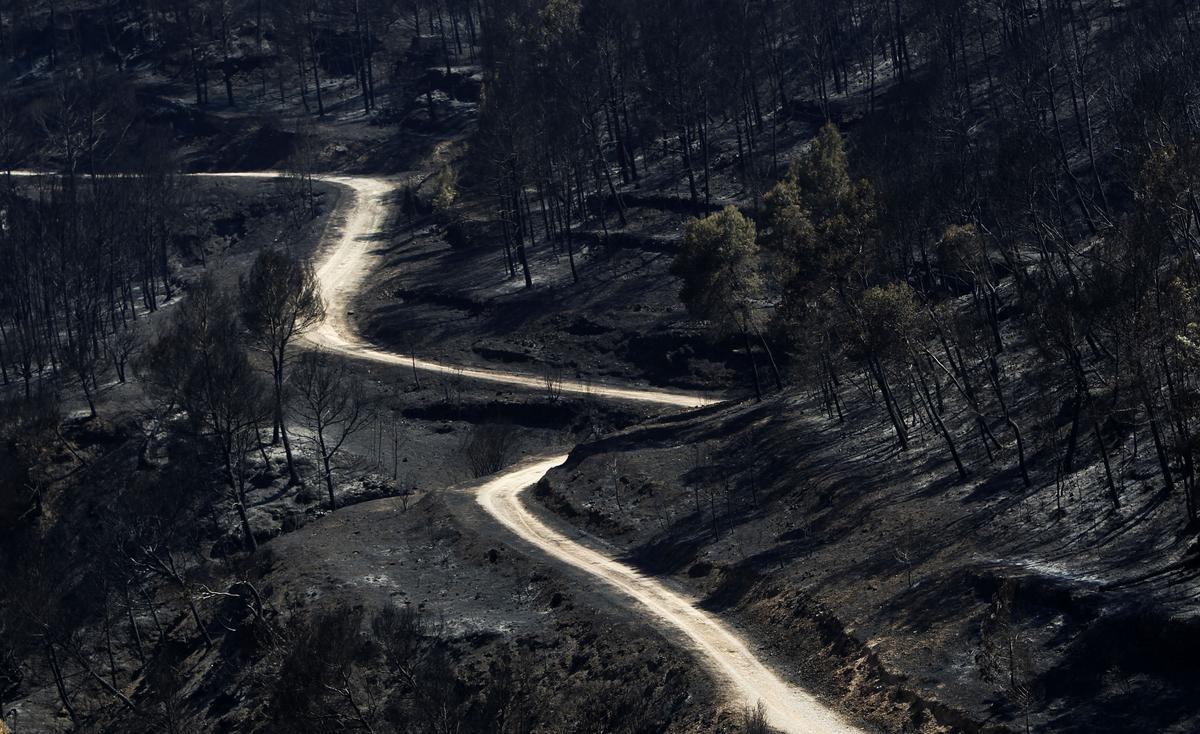 10 años del infierno de Andilla y Cortes de Pallás.