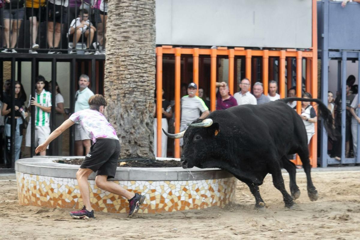 Los primeros actos taurinos tendrán lugar el sábado, día 5.