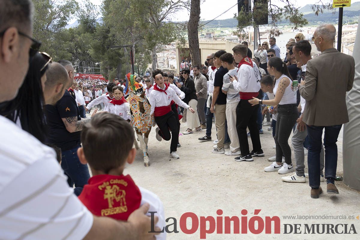Fiestas de Caravaca | Desfile infantil del Bando de los Caballos del Vino