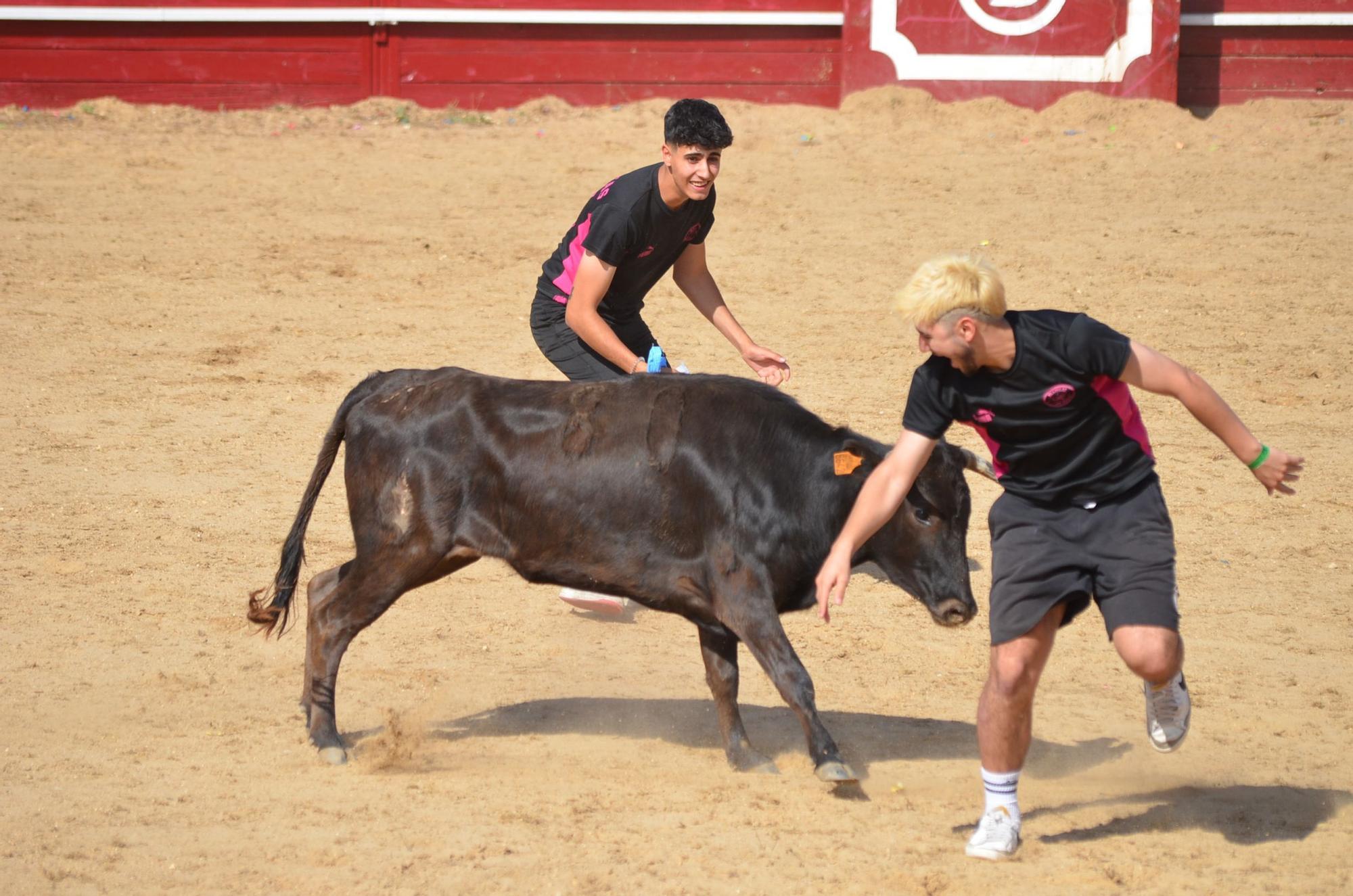 Fiestas del Toro en Benavente: Las mejores imágenes del "Juego de la NTE"