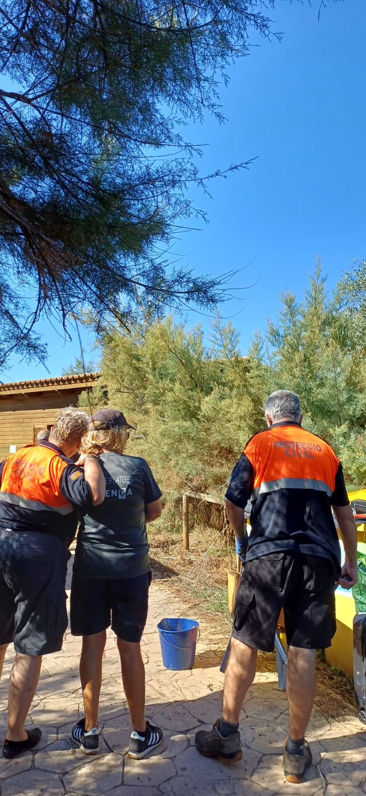 Las imágenes de la jornada de limpieza en el parque de la Gola