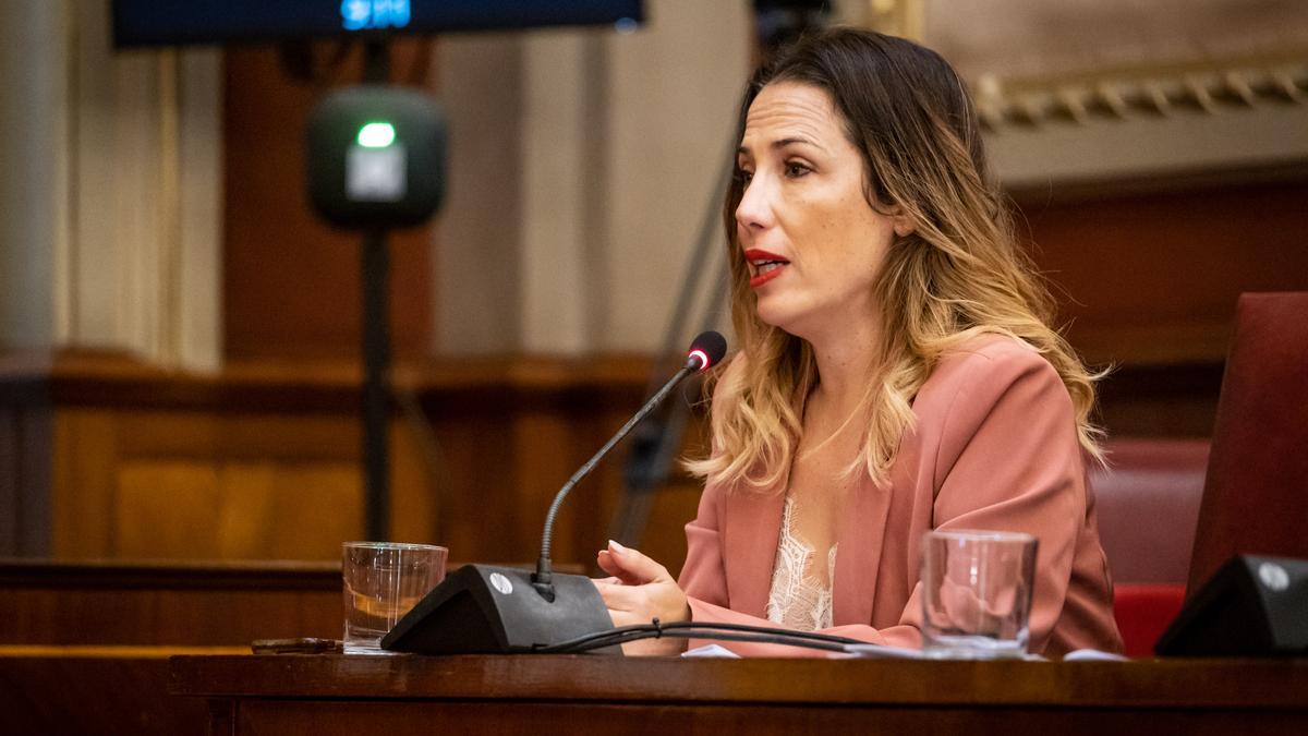 Patricia Hernández, portavoz del PSOE en Santa Cruz.