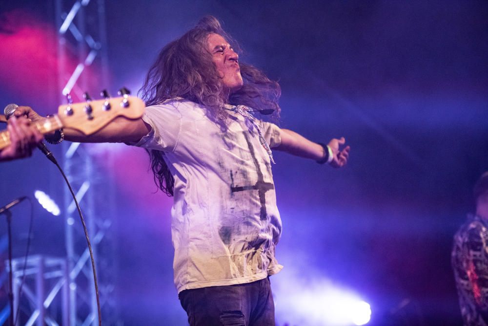 Concert de Sopa de Cabra al Vibra Festival