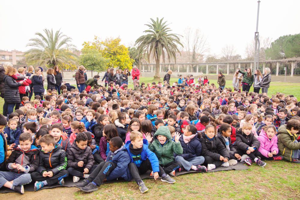 Dia Escolar de la No-Violència i la Pau