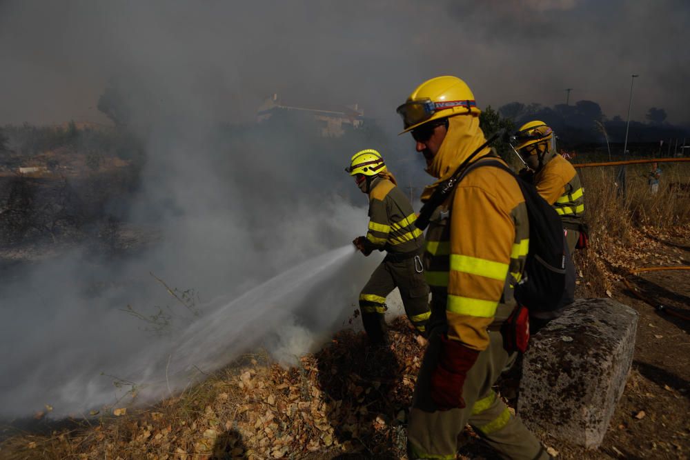 Incendio forestal Arribes