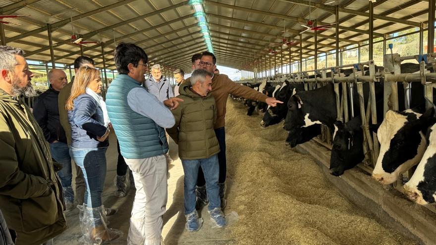 Agricultura reducirá el 50 % de la carga burocrática a los ganaderos de la Comunidad Valenciana