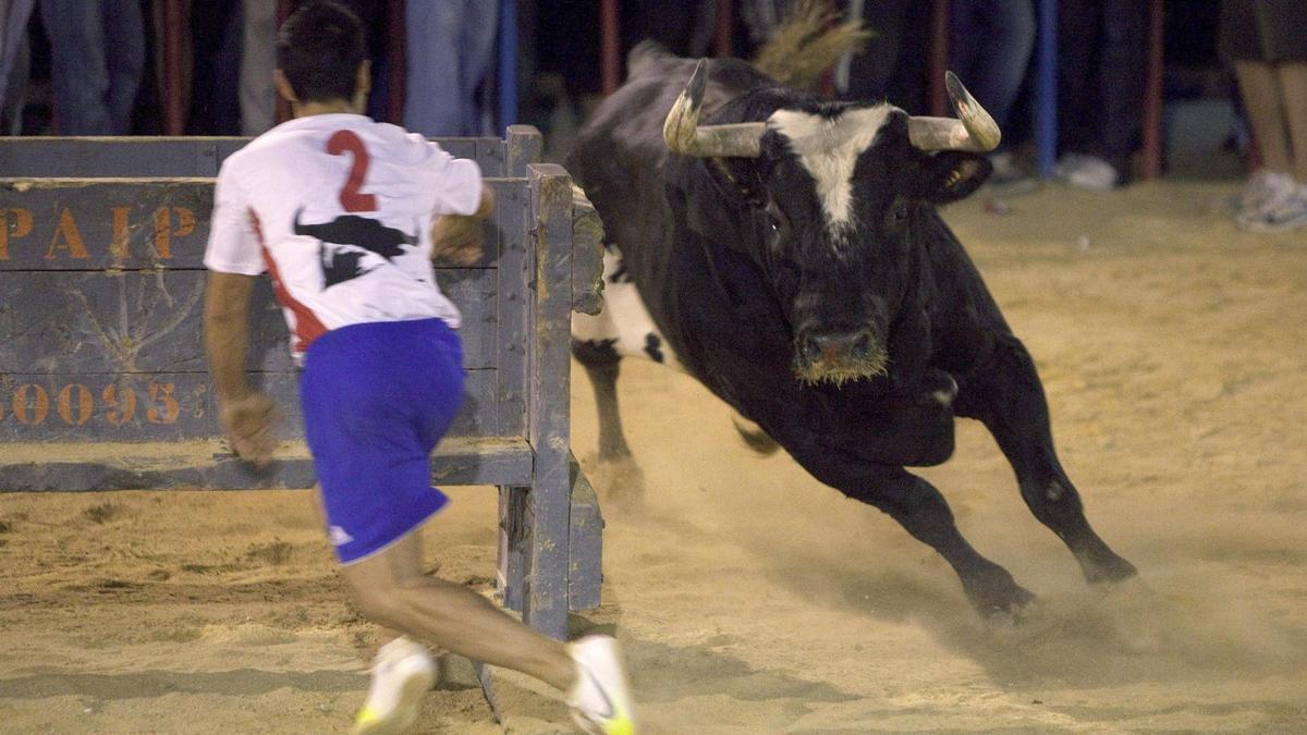 El popular toro &quot;Ratón&quot; en Canals