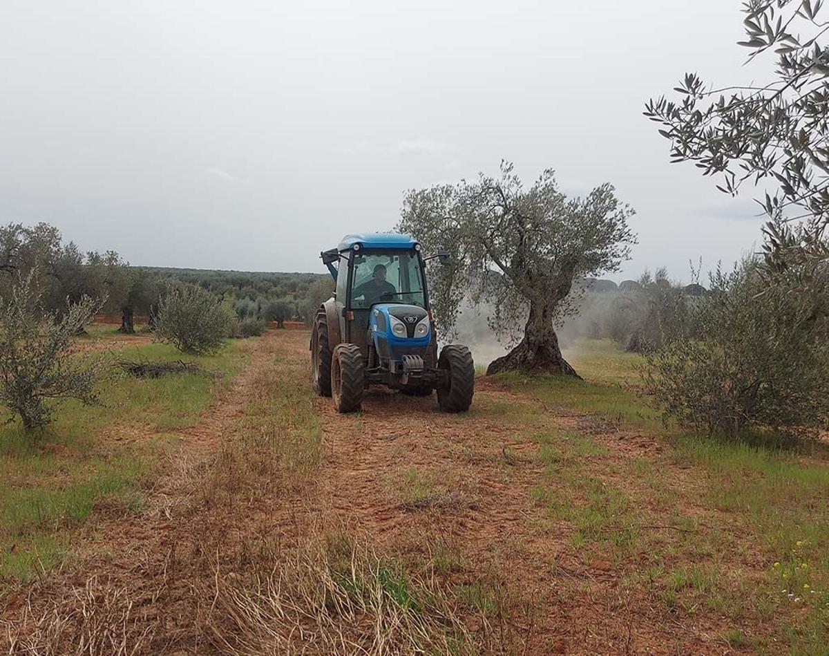 Un tractor durante su trabajo diario en Tierra de Barros.