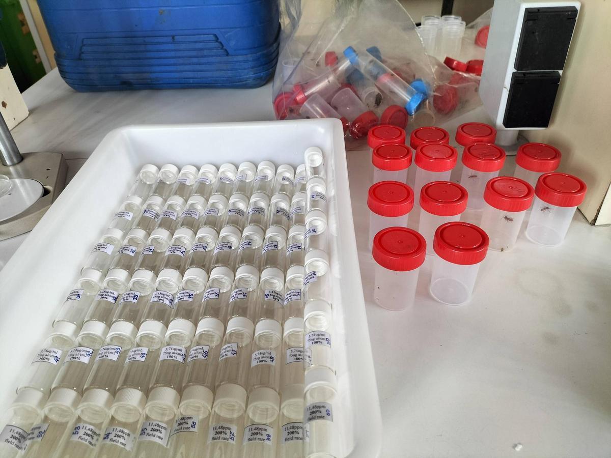 Pruebas de laboratorio realizadas por el estudio.