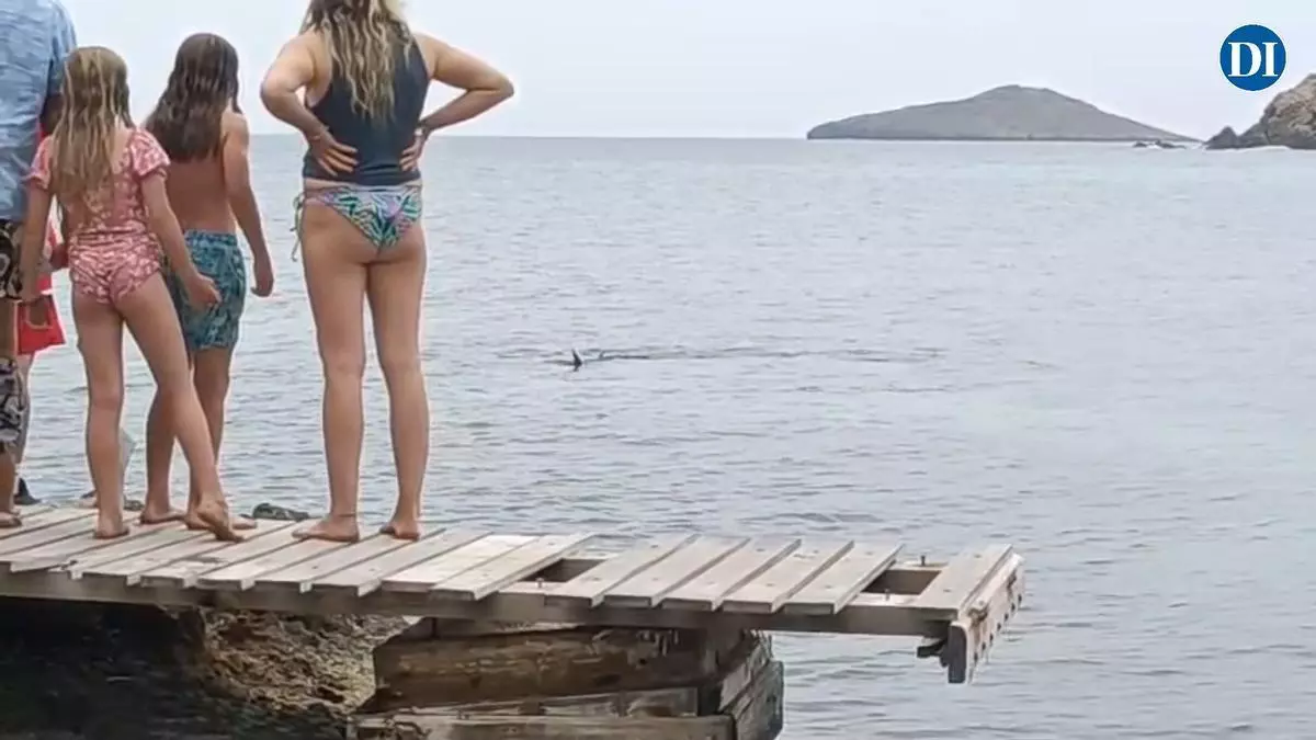 Sorpresa entre los bañistas de la zona de es Canar