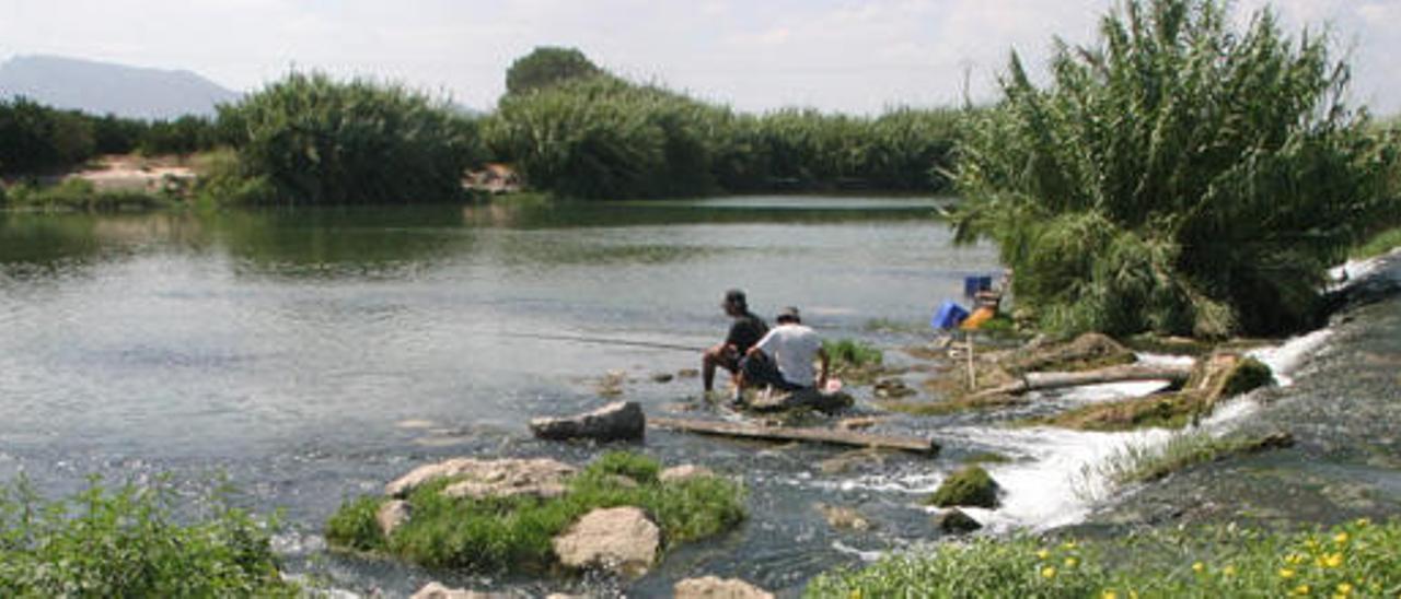 El Júcar vuelve a detectar insecticidas en el agua de riego que envía a Alicante