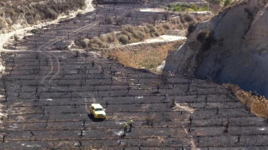 Sofocado el incendio que calcinó gran parte de la rambla de Perea