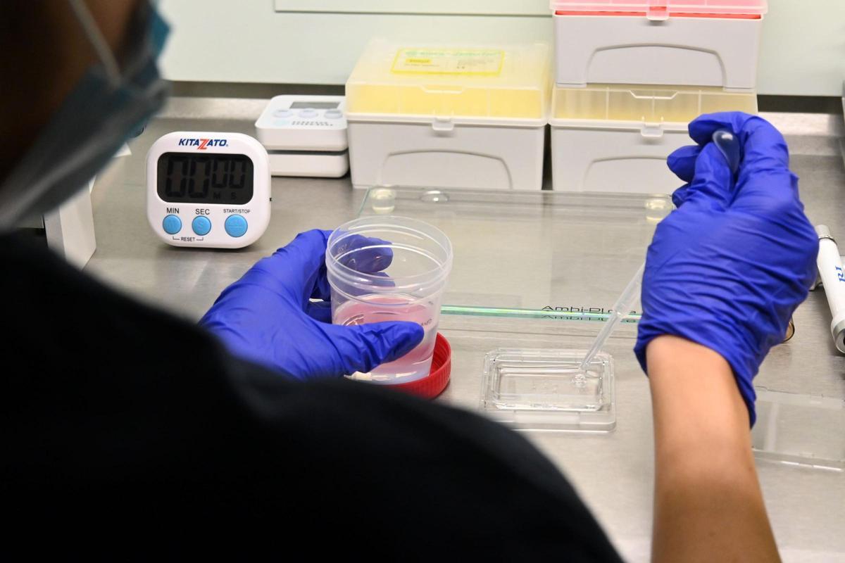 La edad es un factor determinante en la fertilidad femenina, especialmente después de los 35 años
