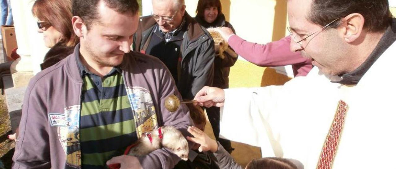 Francisco Panizo bendice un hurón durante la fiesta de San Antón en Parres.