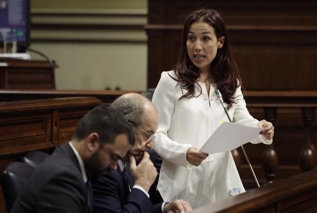 29/11/2016.Pleno del Parlamento de Canarias..Presupuestos