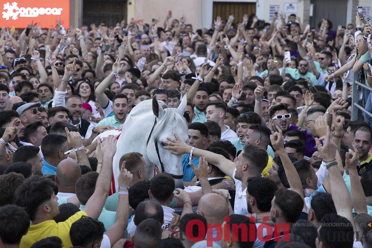 Fiestas de Caravaca | Entrega de premios del concurso morfológico