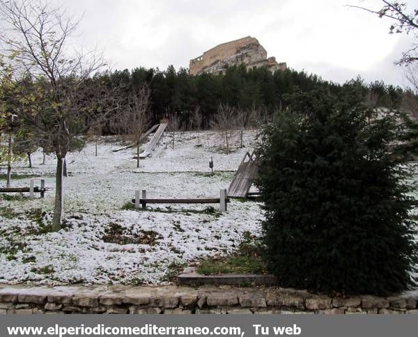 GALERÍA DE FOTOS - Primeras nieves en la provincia