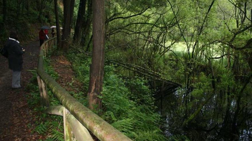 El entorno de los lagos de Silva, bajo el que se halla el yacimiento aurífero.