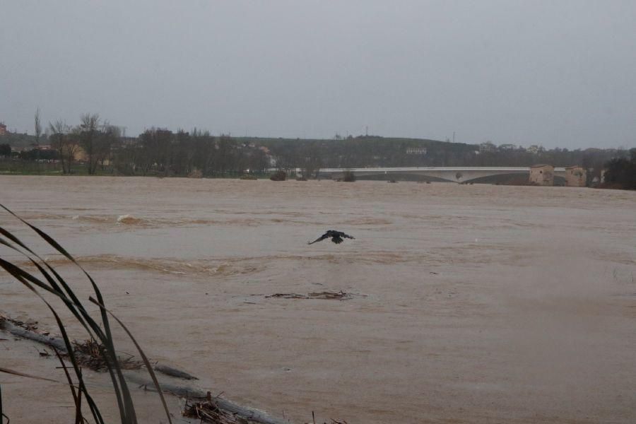 Inundaciones de enero 2016 en Zamora