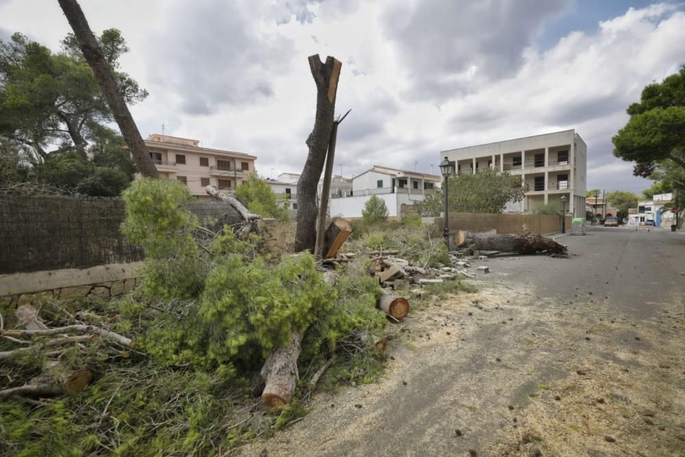 Nach Unwetter: Mallorca räumt auf