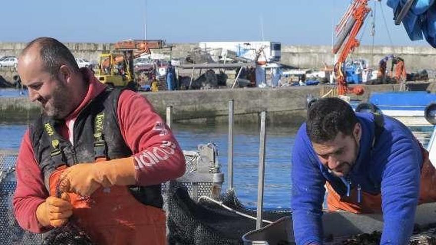 Descargas de mejillón en Porto Meloxo. // Muñiz