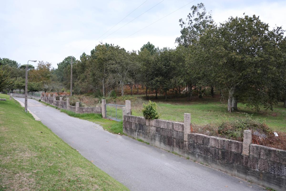 Parcela donde se prevé el «glamping» de A Lagoíña. Nigrán. 7 noviembre 2025. Alba Villar