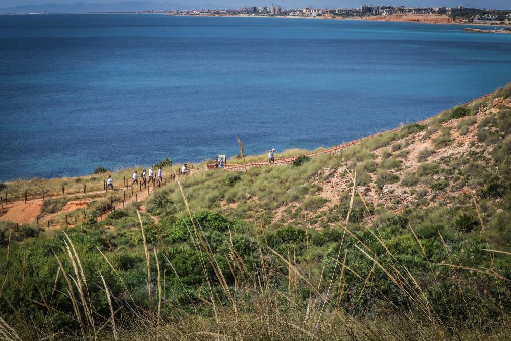 El Ayuntamiento de Orihuela ha invertido 32.000 euros en adecuar un sendero de 1,4 kilómetros en la microrreserva de flora de Punta de La Glea y ha presentado guía con las 56 especies de flora, muchas