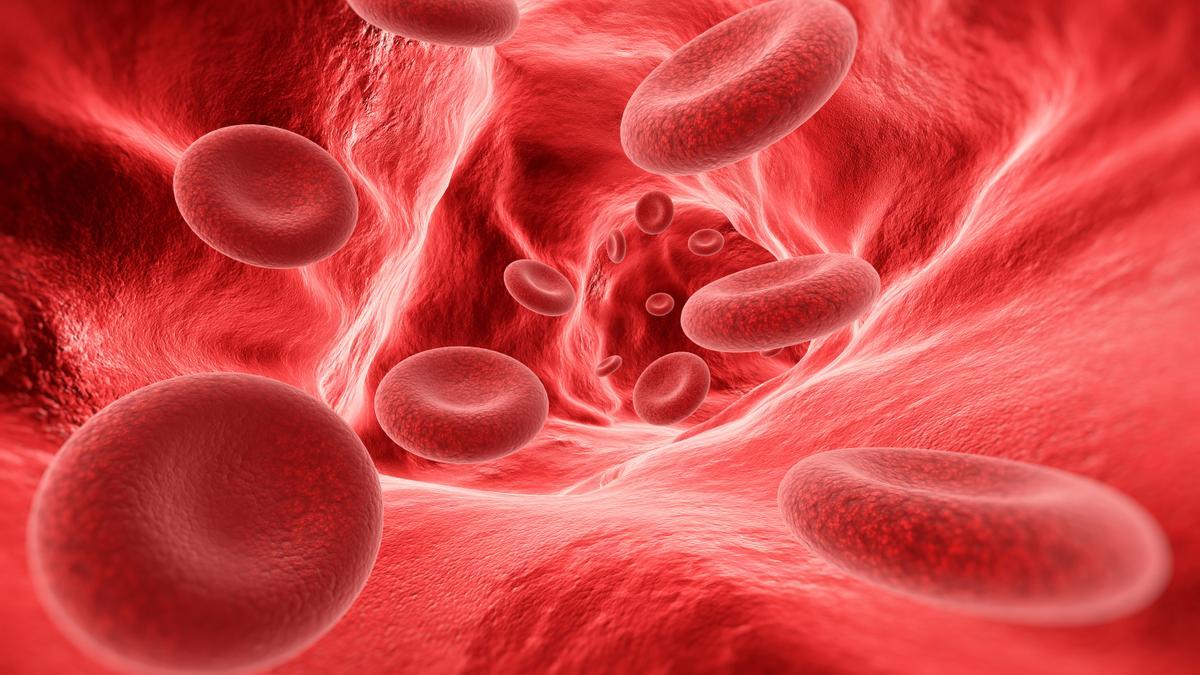 El linfoma periférico de células T es un tumor de alta mortalidad.