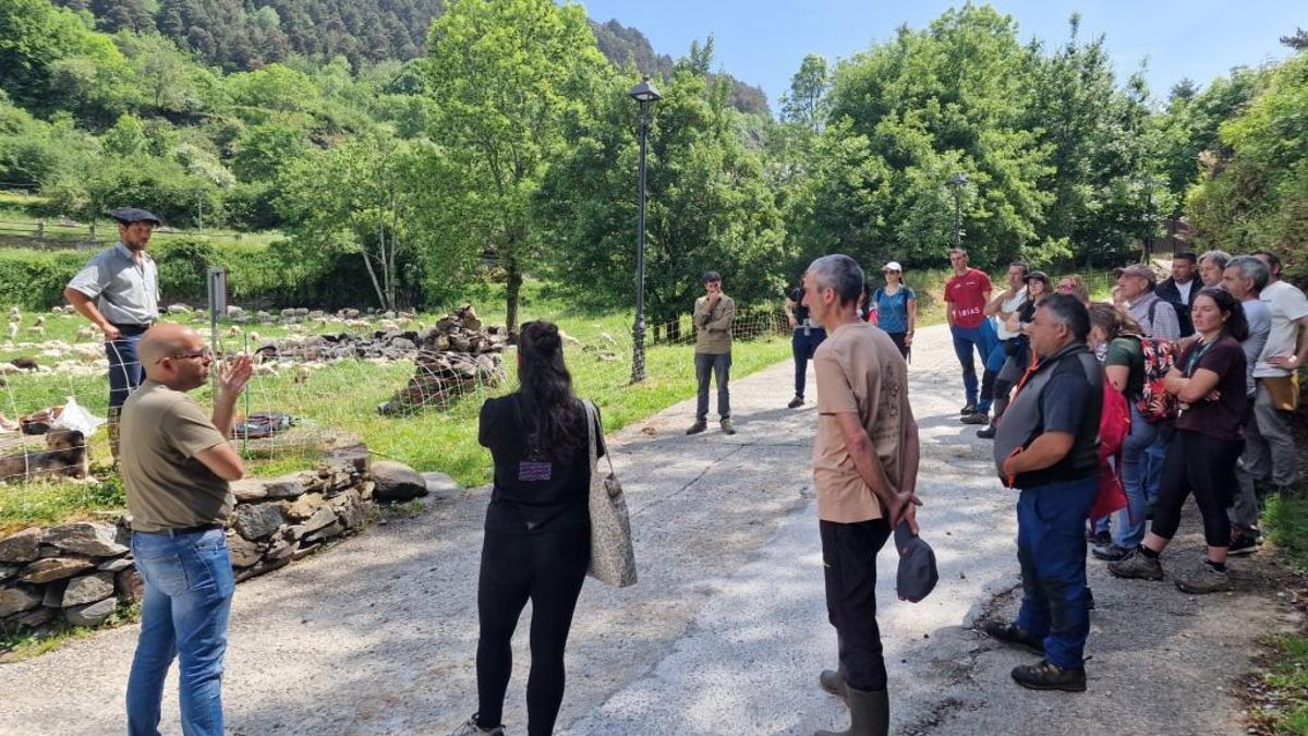 La visita de los ganaderos somedanos al Valle de Arán.