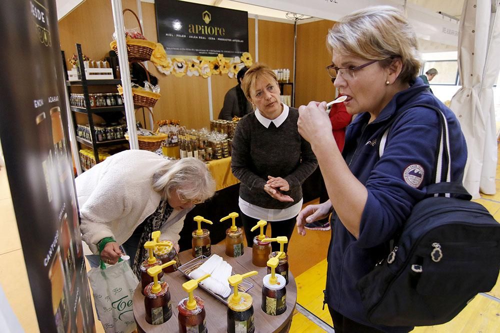 Abejas, cera y mucha miel en Expomiel 2018