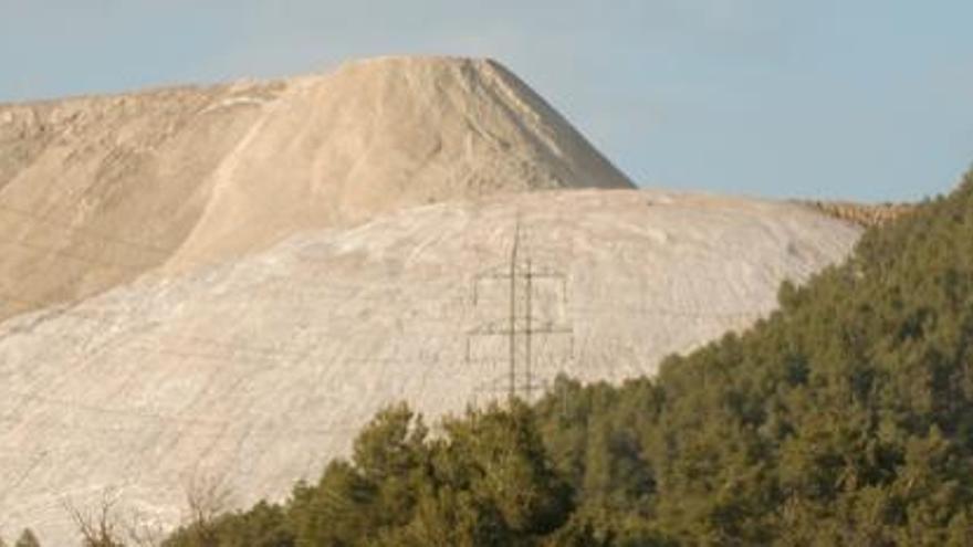 Imatge panoràmica del runam del Cogulló