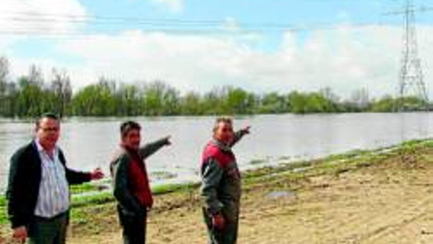 La crecida del Tiétar causa más daños y cubre fincas de la Vega