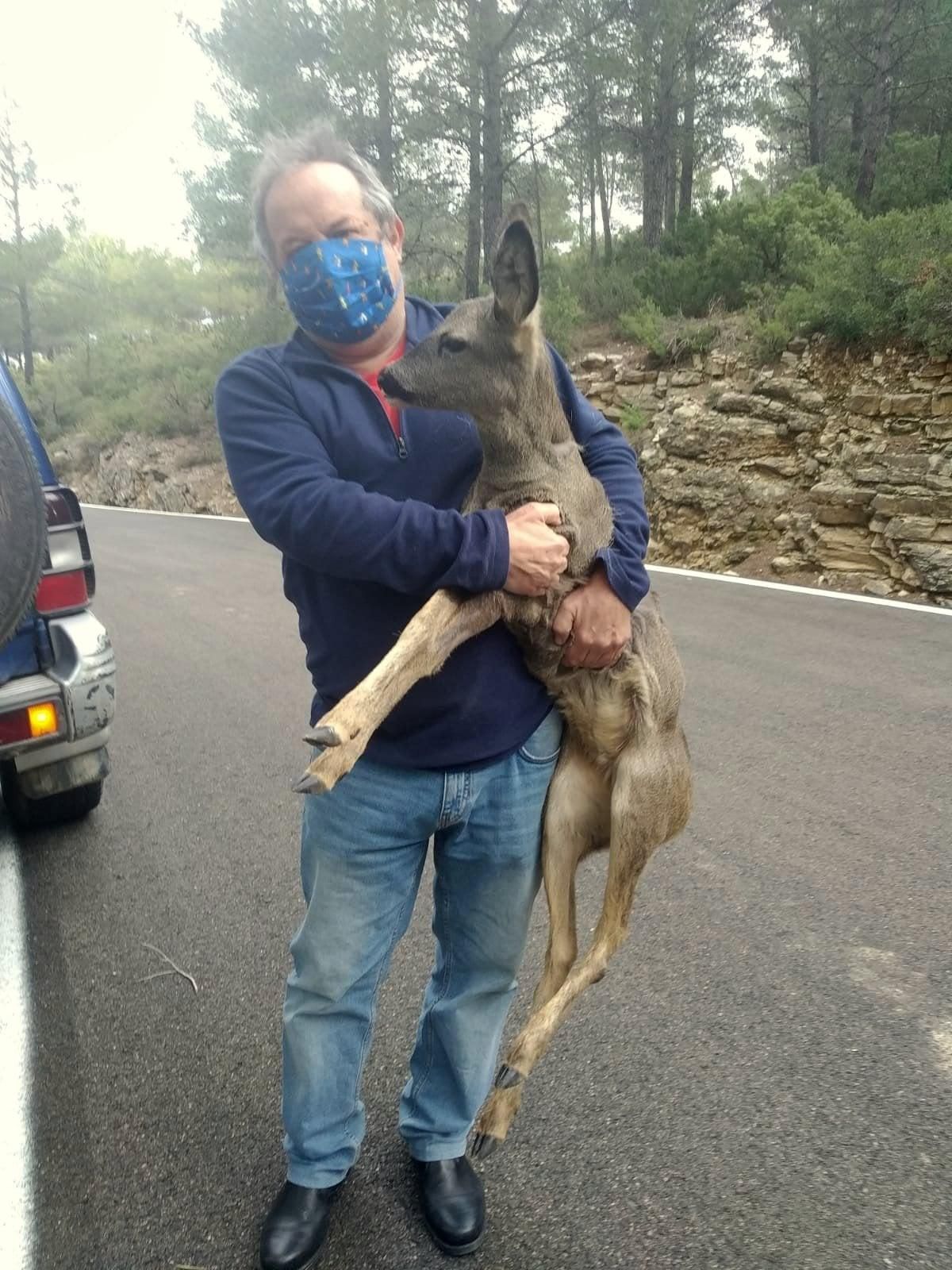 Rescate de una corza en Benagéber