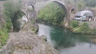 Arranca la búsqueda del Campanu en Asturias con mucha expectación y la sensación entre los pescadores de que cada vez "hay menos salmones”
