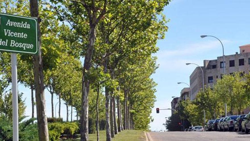 El Ayuntamiento de Salamanca coloca las placas de la avenida de Vicente del Bosque