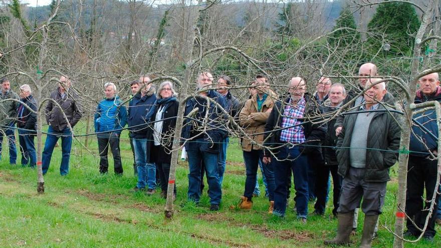 Asistentes al curso de poda de manzanos.