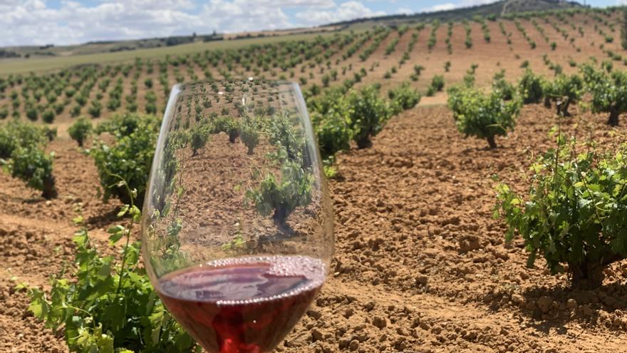 Las rutas del vino de Castilla y León reciben 230.000 euros para impulsar el turismo