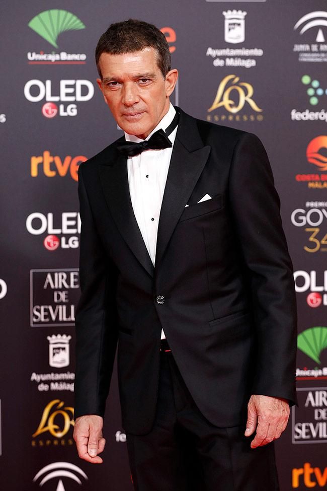 Premios Goya 2020, Antonio Banderas