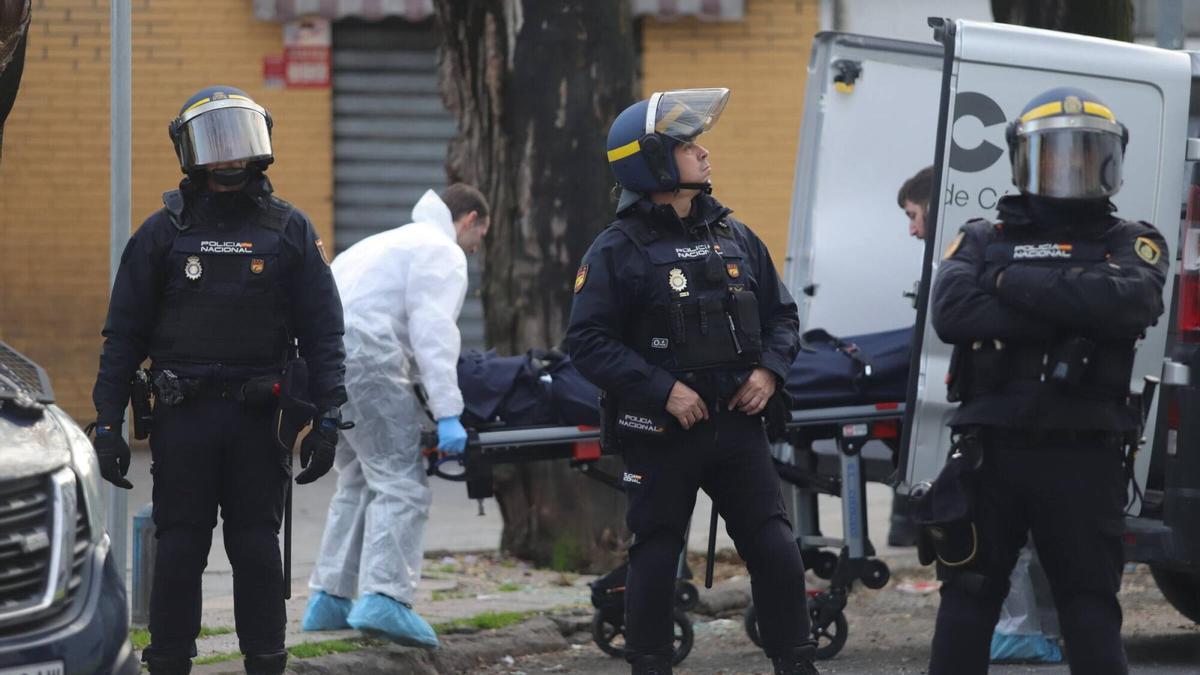 Seis detenidos tras un apuñalamiento mortal en el Sector Sur