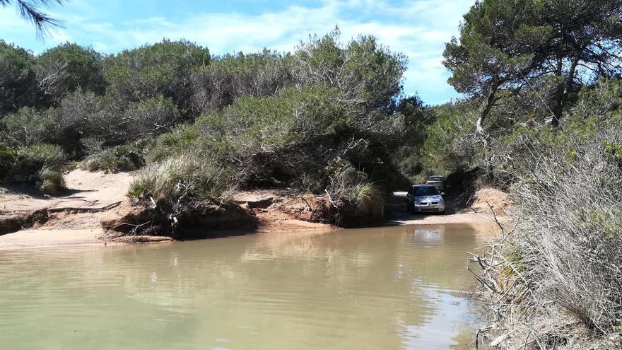 El ayuntamiento de Artà cerrará a partir de mañana el acceso de vehículos a Cala Torta para proteger las dunas