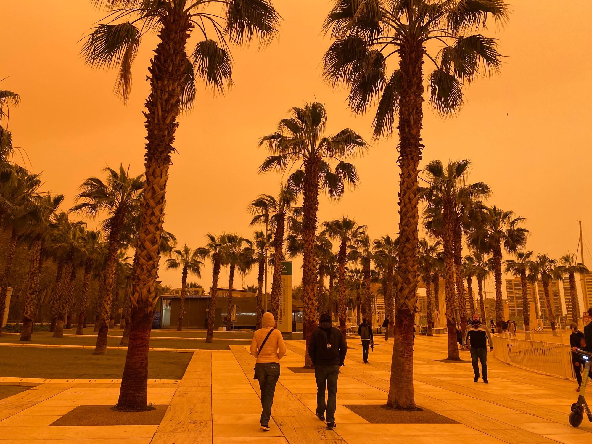 El cielo, teñido de naranja o casi rojo, desde distintos puntos del Centro de Málaga.