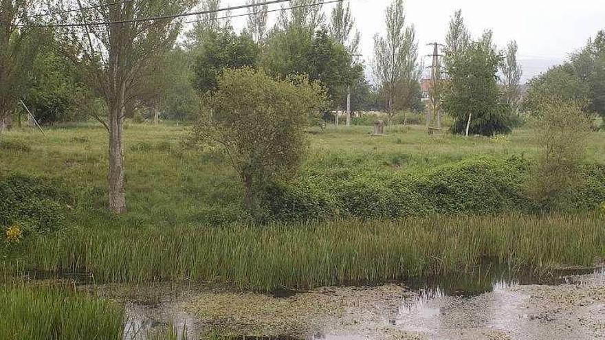 Bajo caudal que presenta el río Limia, en Xinzo. // Iñaki Osorio