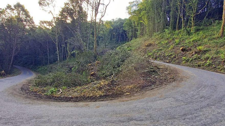 inal en Xendive, Boborás, por la tala de una carballeira que era un refugio verde y un escudo contra los incendios