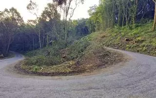 Indignación vecinal en Xendive, Boborás, por la tala de una carballeira que era un refugio verde y un escudo contra los incendios