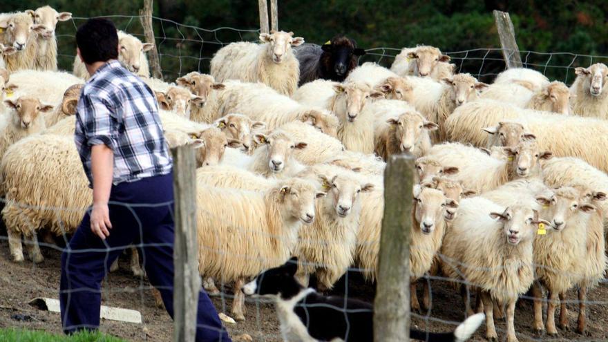 El cuidado de la salud engloba tanto a los seres humanos como al ecosistema y a los animales.