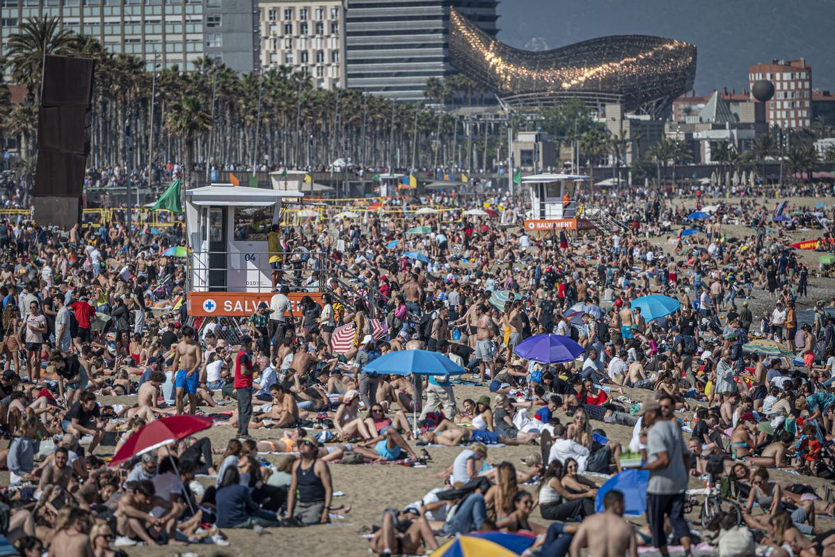 Identificat el lladre gravat per la tele mentre robava en una platja de Barcelona Identificat el lladre gravat per la tele mentre robava en una platja de Barcelona