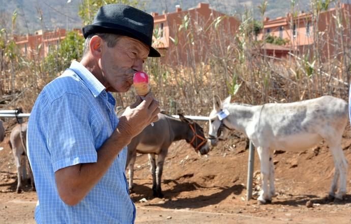 Feria de ganado, misa y procesión de San Miguel